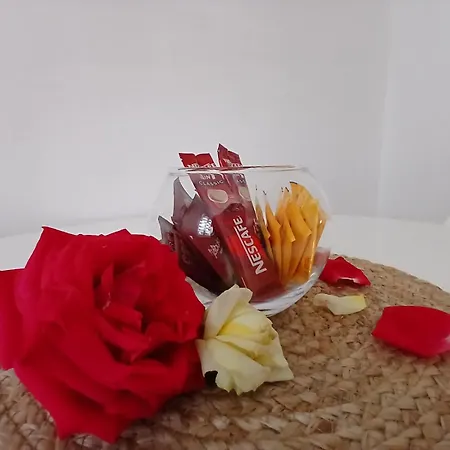 Apartment Red Rose Mostar